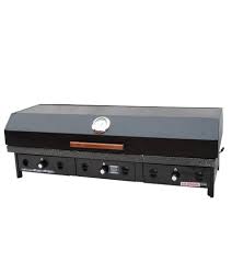 Parrilla a gas 120cm Con Tapa, Faldon o Carro - Imagen 2